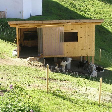 Haus Pinzger Lägenhet Fendels Exteriör bild